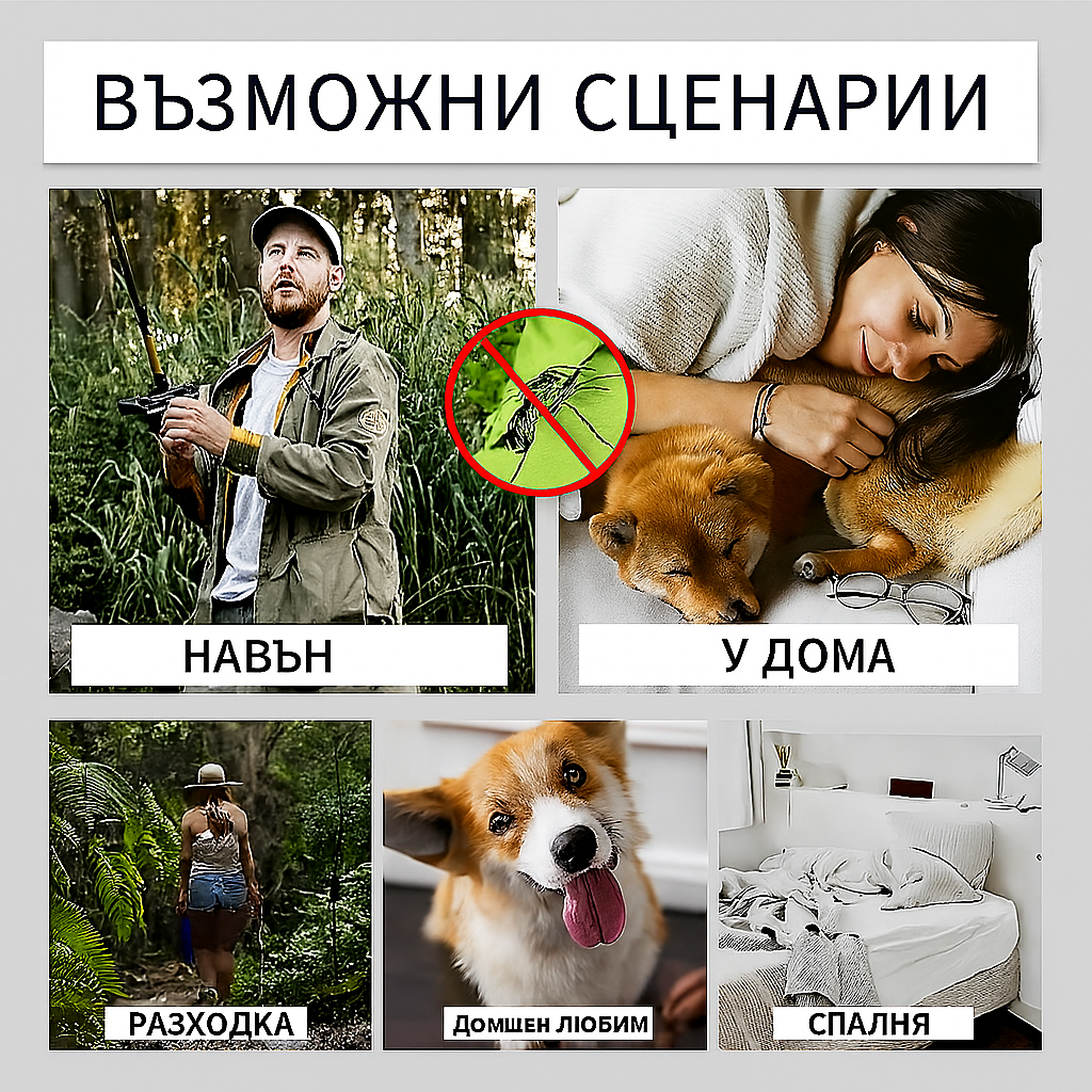 Снимка 1